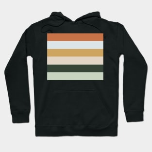 Retro Stripes Hoodie